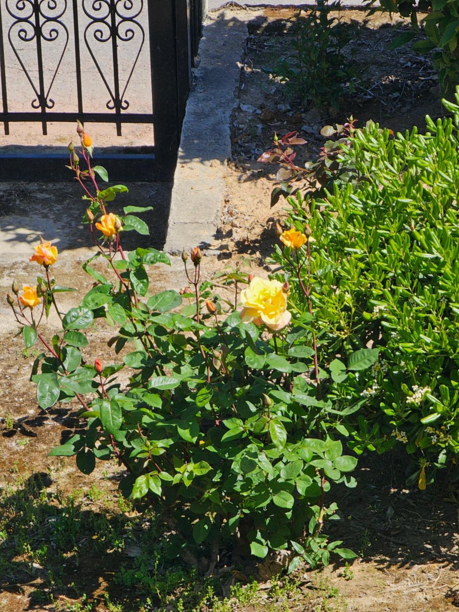 Country Side House Villa Koroni  Ngoại thất bức ảnh