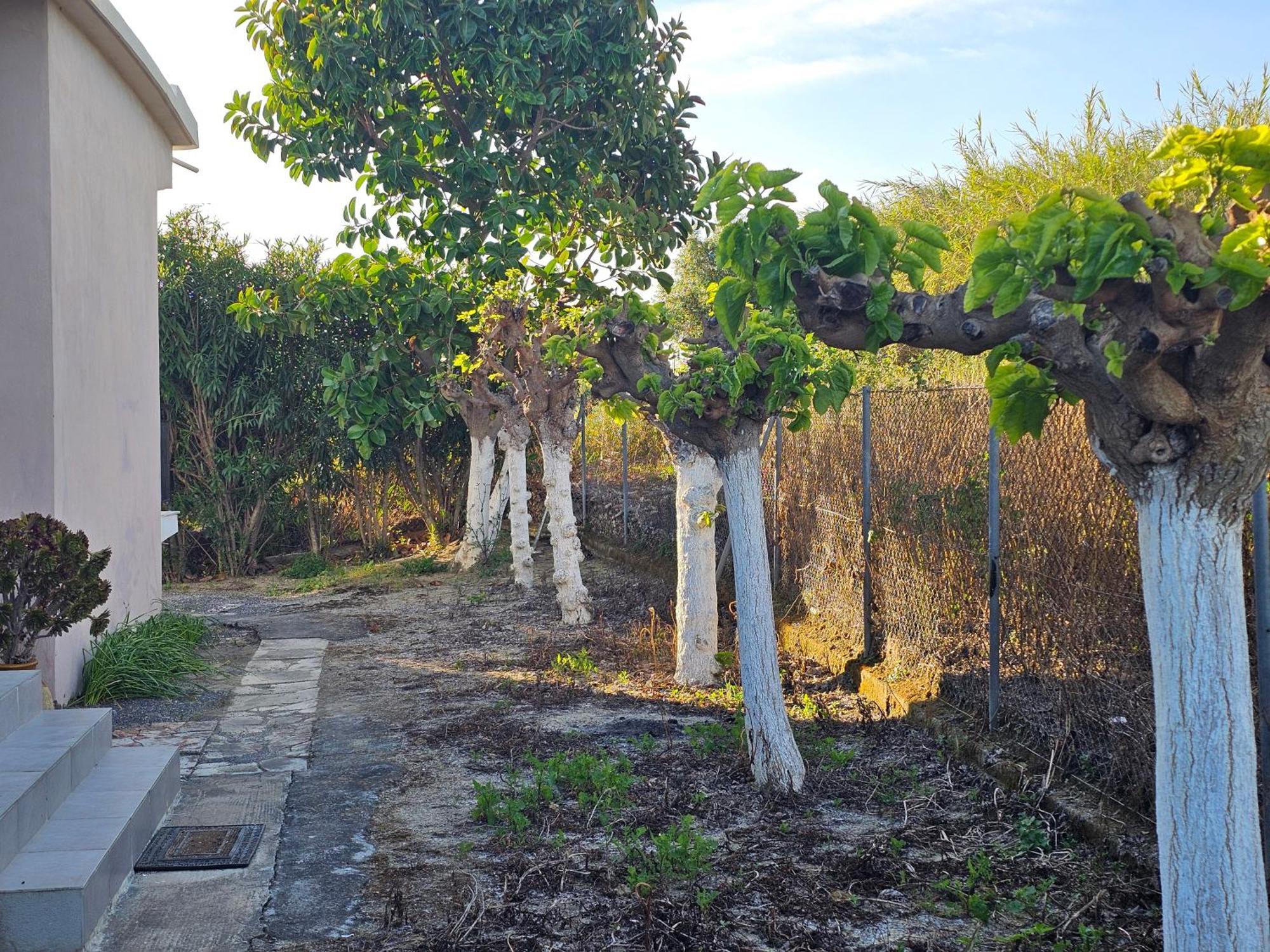 Country Side House Villa Koroni  Ngoại thất bức ảnh